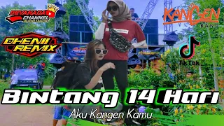 Download DJ BINTANG 14HARI KANGEN || DEVANADA CHANNEL X DHENI RMX MP3