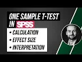 One sample t-Test in SPSS - calculation and interpretation