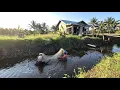 Download Lagu BERBURU SUMBER PROTEIN DI LAHAN RAWA TRANSMIGRASI KALIMANTAN UTARA