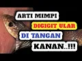 Download Lagu Awas Hati Hati!! Arti Mimpi Digigit Ular Di Tangan Kanan