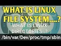 What Is Linux File system What is Linux Directories Linux Commands For DevOps
