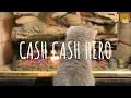 Cash Cash Hero (remix cute) - DJ Cantik // (Vietsub + Lyric) Tik Tok Song