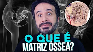 CHEGOU A HORA DE VOCÊ SABER O QUE É MATRIZ ÓSSEA.