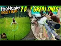 I Hunted Multiple Great Ones For 7 Days And Got INSANE Results Fallow Pheasant Call of the wild