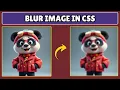 How to Blur an Image in HTML and CSS
