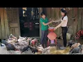 Download Lagu Help a Farmer: Turn an Old Water Heater into a Corn Grinder for Poultry Feed
