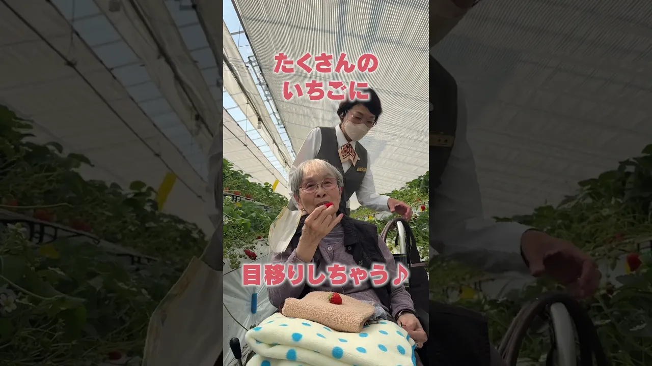 【介護施設】特別な一日の企画に。喜ばれる外出レクのアイデア