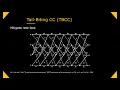 Deep Ensemble of Weighted Viterbi Decoders for Tail Biting Convolutional Codes