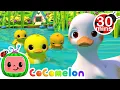 Download Lagu Five Little Duckies 30 MIN LOOP |  Animal Songs For Kids