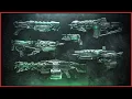 The Weapons Rolls I want from the Crotas End Raid Destiny 2