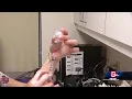 Flu shots offered at hundreds of CVS locations