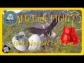 INTENSE Bald Eagles FIGHT Juvenile Intruder Attacks Harry Defends Eaglet Egg PIP