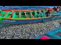 Download Lagu AMAZING 🤩 Billions of Kolusalai Fish Caught in a Single Day | Unbelievable Purse Seine Catch