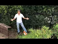 Do Organic Herbicides Really Work Enviroscape LA Landscaping