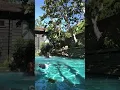 Swimming In The Pool