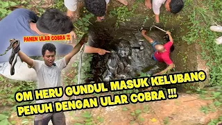 Download NEKAT RESCUE ULAR COBRA YANG TERJEBAK DI DALAM SUMUR #panjipetualang #kingcobra #hewan MP3