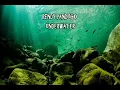 Download Lagu Rendy Pandugo - Underwater (Lyrics)