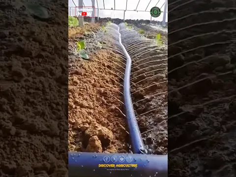 Amazing Rain Irrigation System