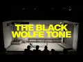 The Black Wolfe Tone | Cork Arts Theatre | 20–21 Jun 2025 | Reviews