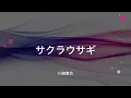 【歌詞付き】サクラウサギ　川崎鷹也×優里