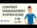 What is a CMS Content Management System in 2026