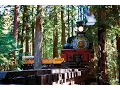Redwood Forest Steam Train 2014 Commercial