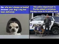 Download Lagu Relatable Funny Memes To Balance Out Everything That's Going Wrong Today | Happy And Fun