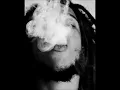 Inna di Red - Stephen Marley (Miguel Salvadinha)