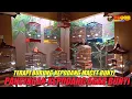 Download Lagu TERAPI BURUNG MACET BUNYI suara kepodang emas gacor ramai AMPUH BUAT PANCINGAN KEPODANG AGAR BUNYI