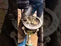 Lagu Satisfying Horse Shoe Restoration 🥺| Hoof Cleaning #viral