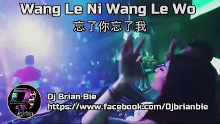 Download Wang Le Ni Wang Le Wo 忘了你忘了我 Remix By Dj Brian Bie Tiktok Song Hot MP3