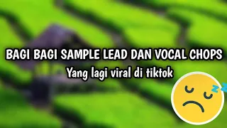 Download Bagi Bagi Sample,Lead Melody Dan Vocal Chops Yang Lagi Viral Di Tiktok Tanpa FLM #flstudiomobile MP3