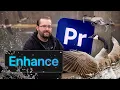 The NEW Premiere Pro Enhance Speech Feature Is Insane
