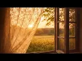1 Hour Mourning Dove Ambience — Quiet Morning Nostalgia & Peaceful Nature Sounds
