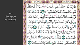 14 الصفحة 280 يوم تأتي كل نفس تجادل عن نفسها مكررة 10 مرات 