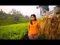 Download Lagu Ubati siholhi - Putri Silitonga (cipt. Roy Hutagalung)