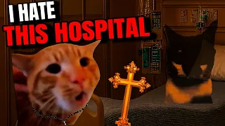 CAT MEME: WHEN YOU WORK NIGHT SHIFT FULL EPISODE
