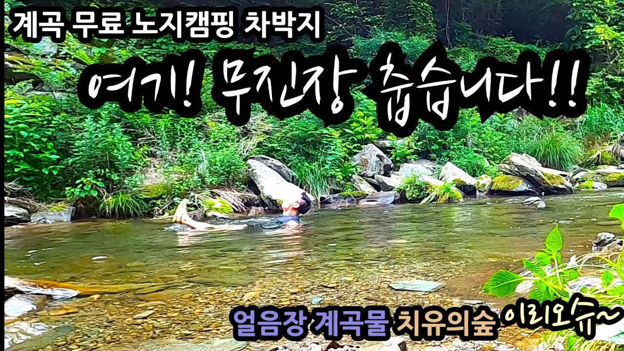평창계곡 무료 노지캠핑 차박지 여기! 무진장 춥습니다!! 얼음장 계곡물 강원도 평창 장전계곡 치유의숲 화장실 개수대 무료캠핑 무료차박지 차박 캠핑 サムネイル