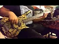 Inspector - Amnesia [Bass Cover]
