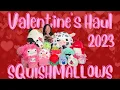 Unboxing Huge Valentine s Day Squishmallows Haul 2023 Squishmallows for your Sweetheart