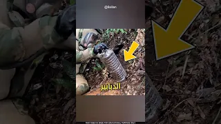 الإنسان ضد الدبور الآسياوي Shorts 
