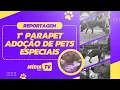 Download Lagu 1º PARAPET ❤️🐾 | São Leopoldo/RS