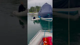 Winter Storm Shuffle