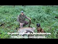 Download Lagu Za postrzałkiem z posokowcem.  Wilki blisko, coraz bliżej...