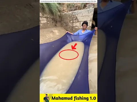 What Fish Did Two Cousins Catch with a Hand Net?π#viralvideo #facts #fishinggear #fishinglife #fish