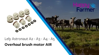 Download Overhaul brush motor AIR - Lely A2, A3, A4 and A5 MP3