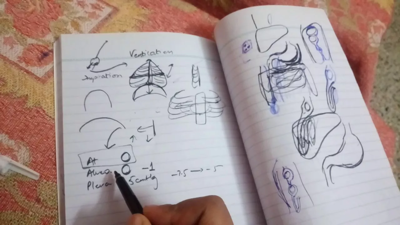 PULMONARY VENTILATION ch38 gyton fast review part 1 1