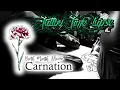 A Carnation symbolizing Admiration and Love - January Birth Month Flower