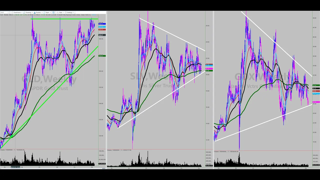 Why Owning Precious Metals at this Stage is Crucial: $GDX $NUGT $GLD $UGL $SLV $AGQ $PHYS $PSLV