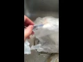 Lam seafood supermarket